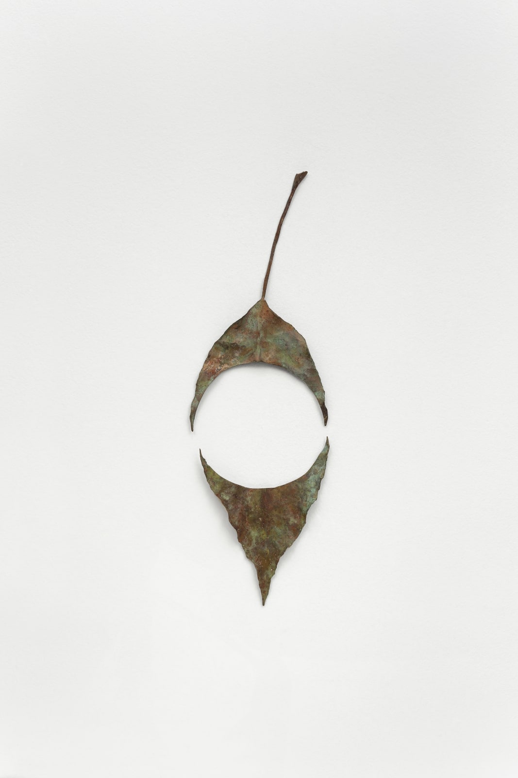 Vanderlei Lopes, EEDDM VI [El Encuentro de Dos Mundos], 2013