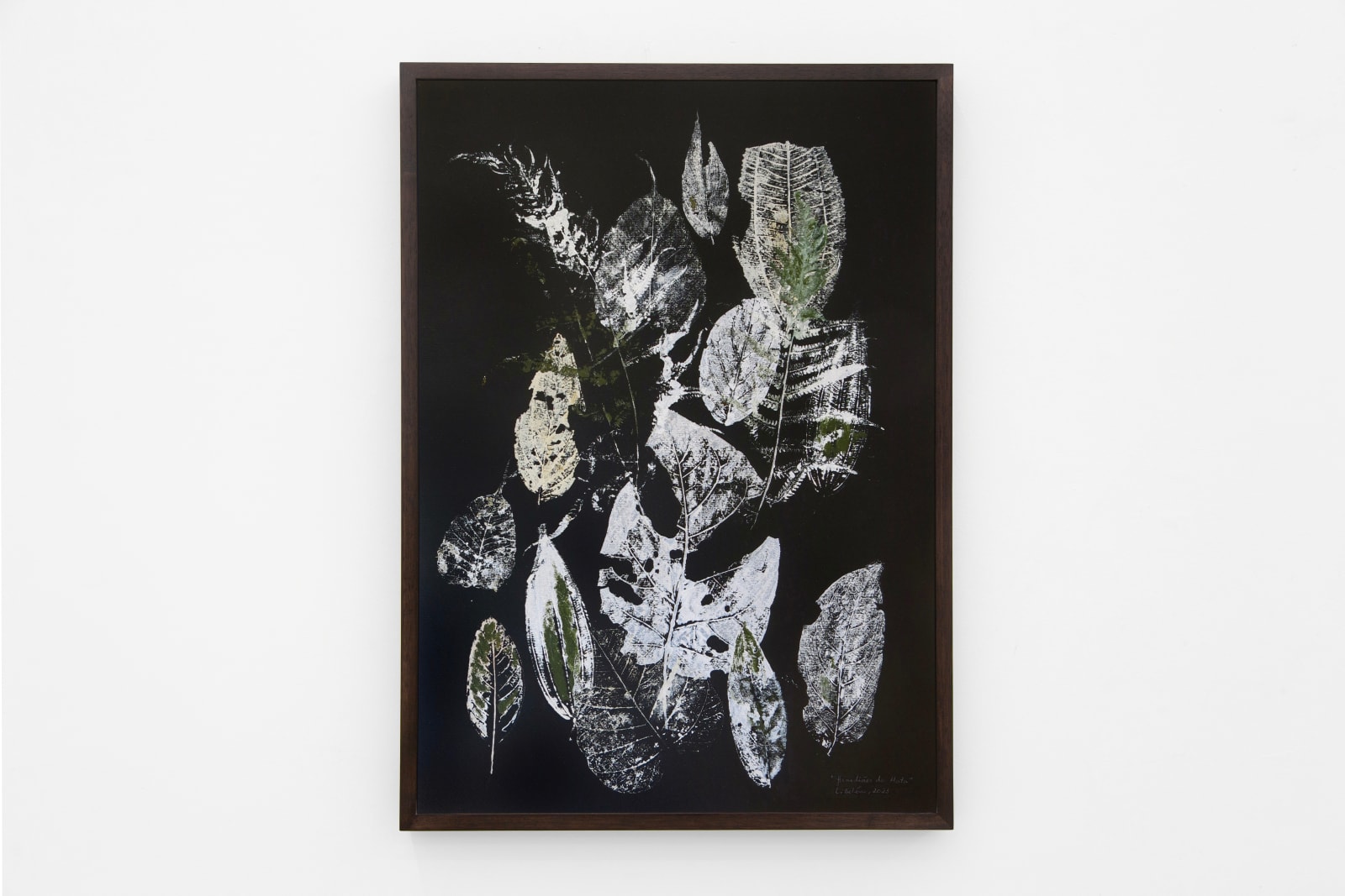 Laura Belém, Guardiães da Mata, 2023