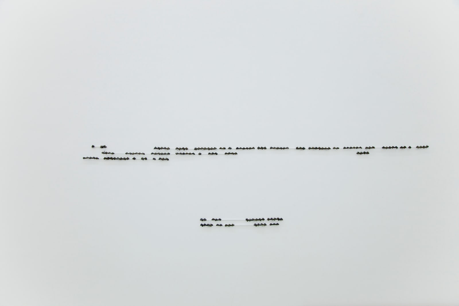 Frederico Filippi, Cobra Criada #B3, 2019