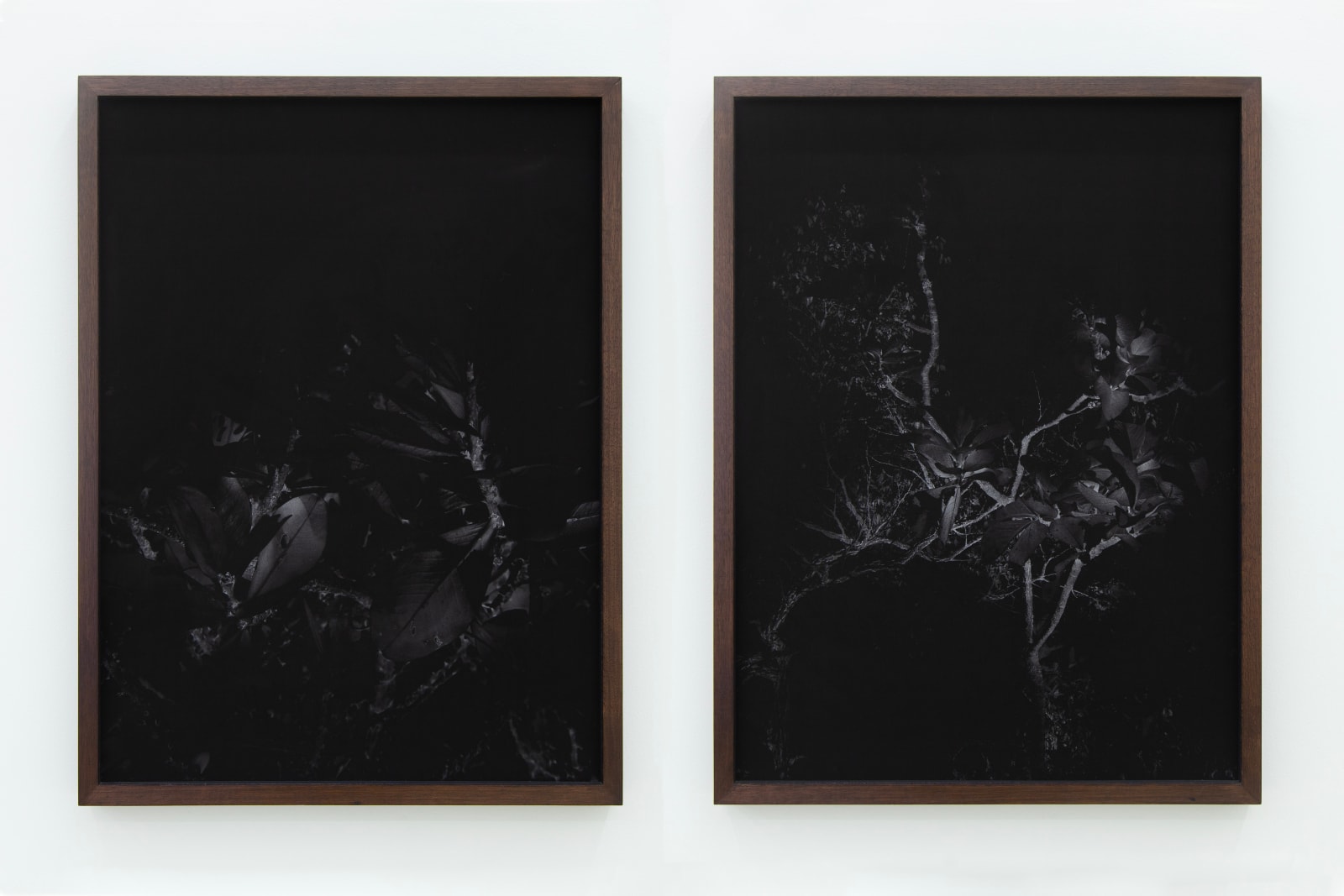 Laura Belém, Noites do Sertão #2, 2021