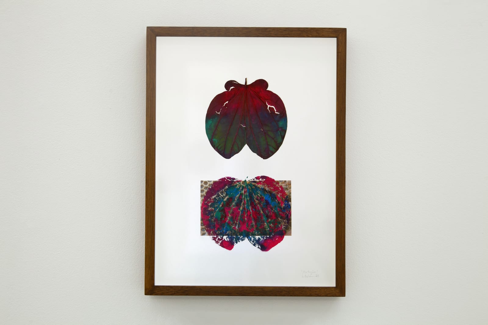 Laura Belém, Mutação, 2022-2023