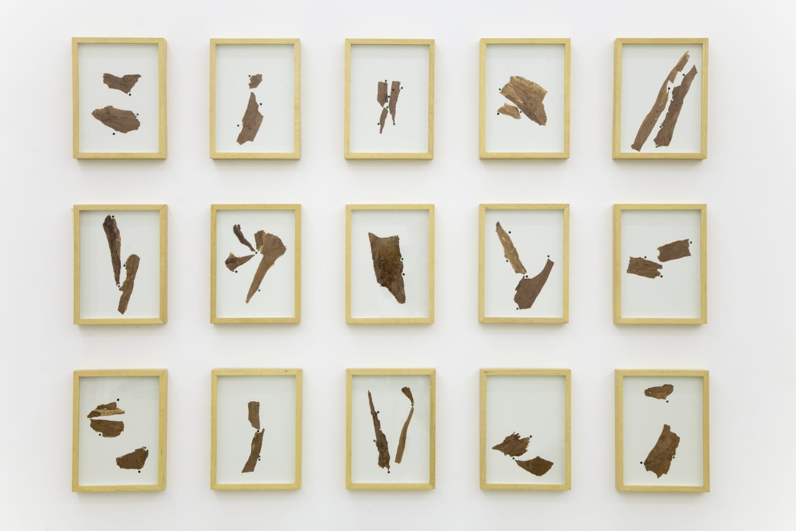 Laura Belém, Transmutação (Transmutation), 2018