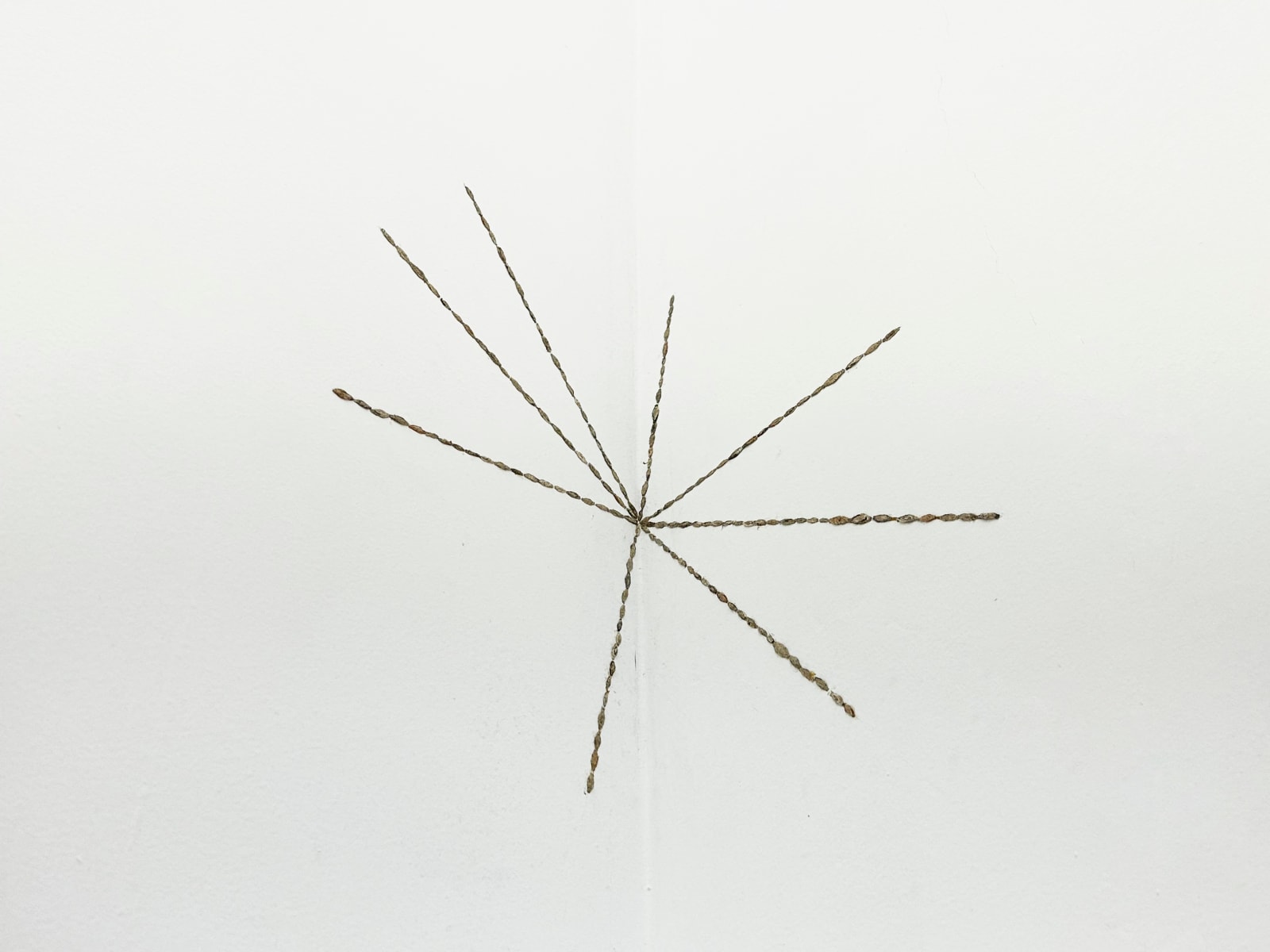 Daniel Frota de Abreu, Geração espontânea, 2022