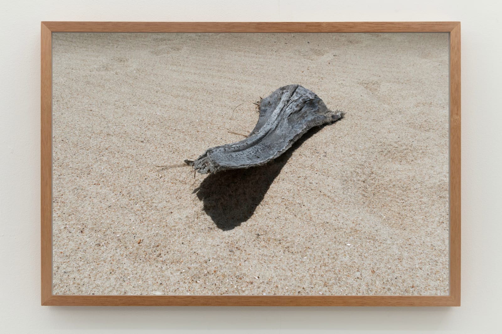 Laura Belém, Bicho, 2023