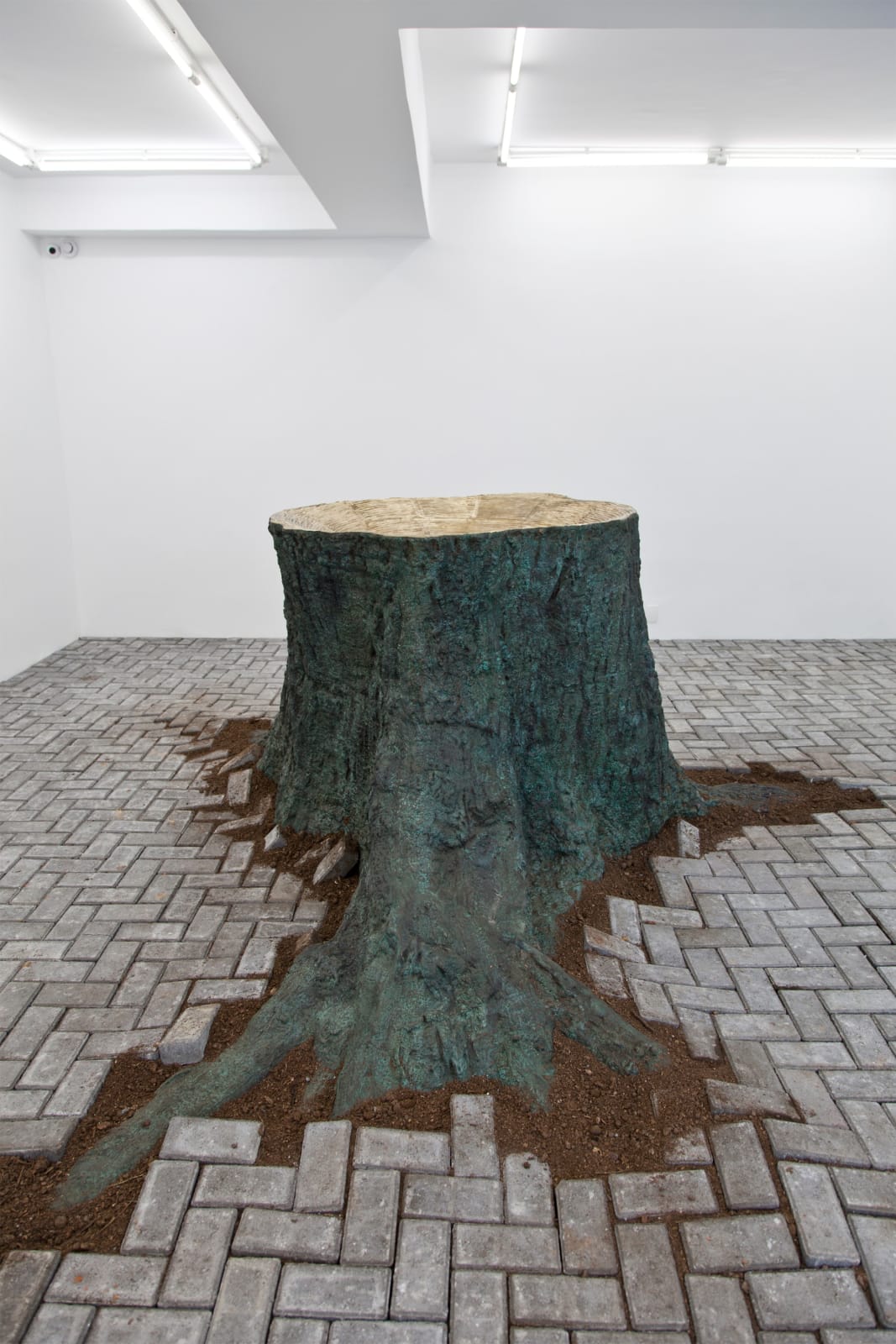 Vanderlei Lopes, Arena, 2013-2018