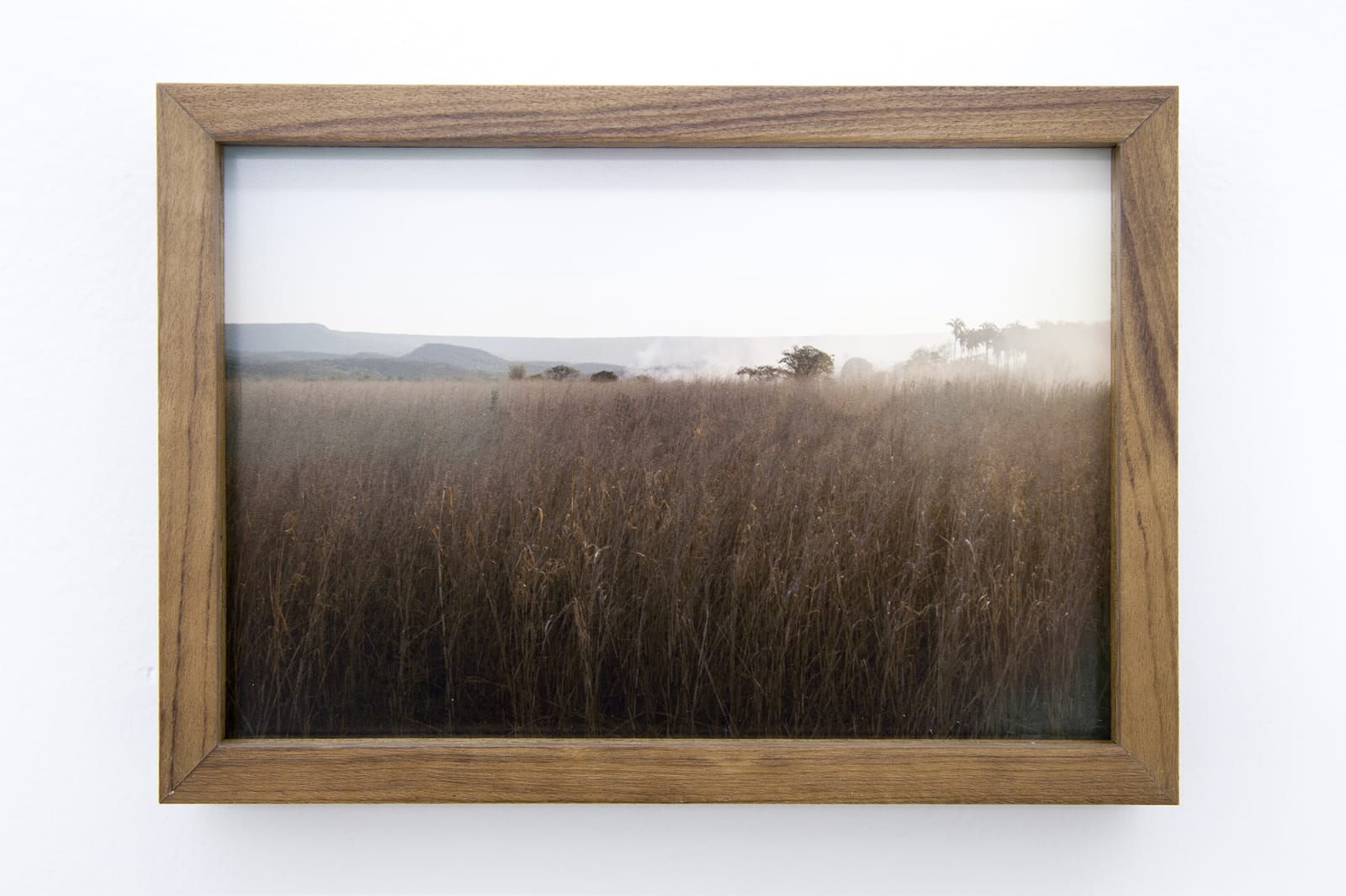 Raquel Versieux, Araripe pois pronto #7, 2016