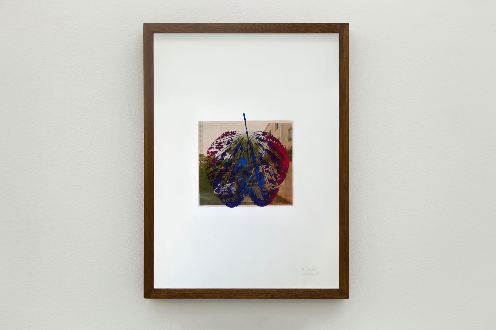 Laura Belém, Mutação, 2022-2023