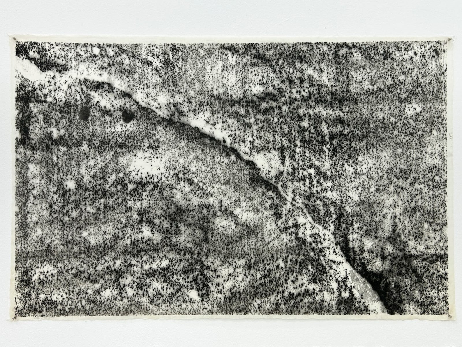 Maria Laet, Leito gráfico, 2014