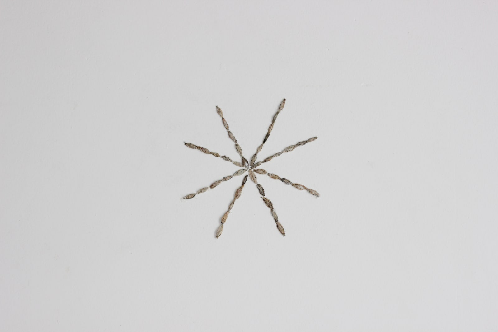 Daniel Frota de Abreu, Geração espontânea, 2022