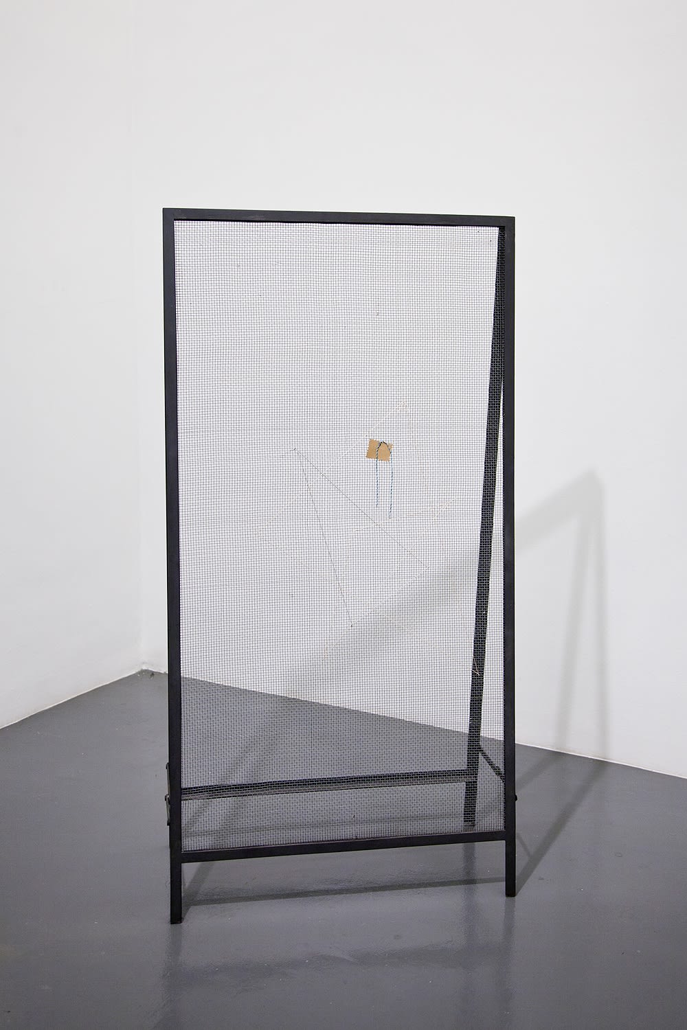 Débora Bolzsoni, Peneira (Screen), 2015
