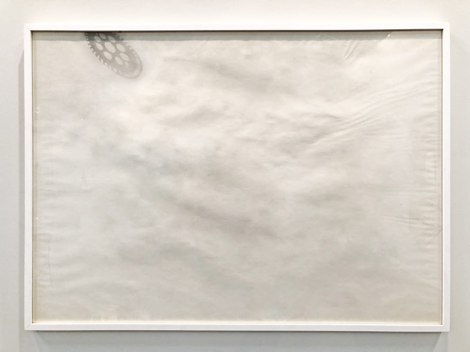 Sonia Andrade, Sem título