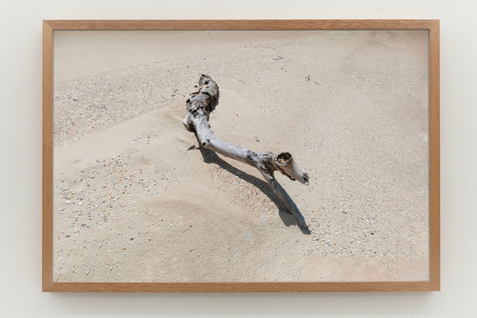 Laura Belém, Bicho, 2023