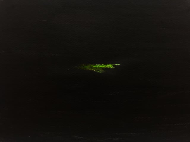 Janaina Wagner, Green flash, green flesh, 2021