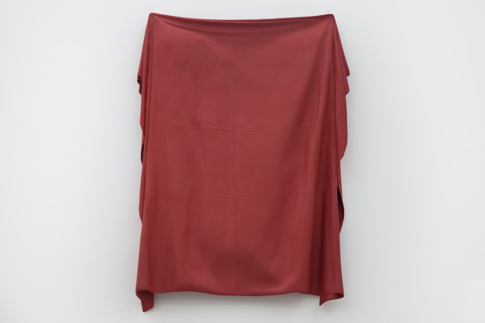 Vanderlei Lopes, Imagem, 2017