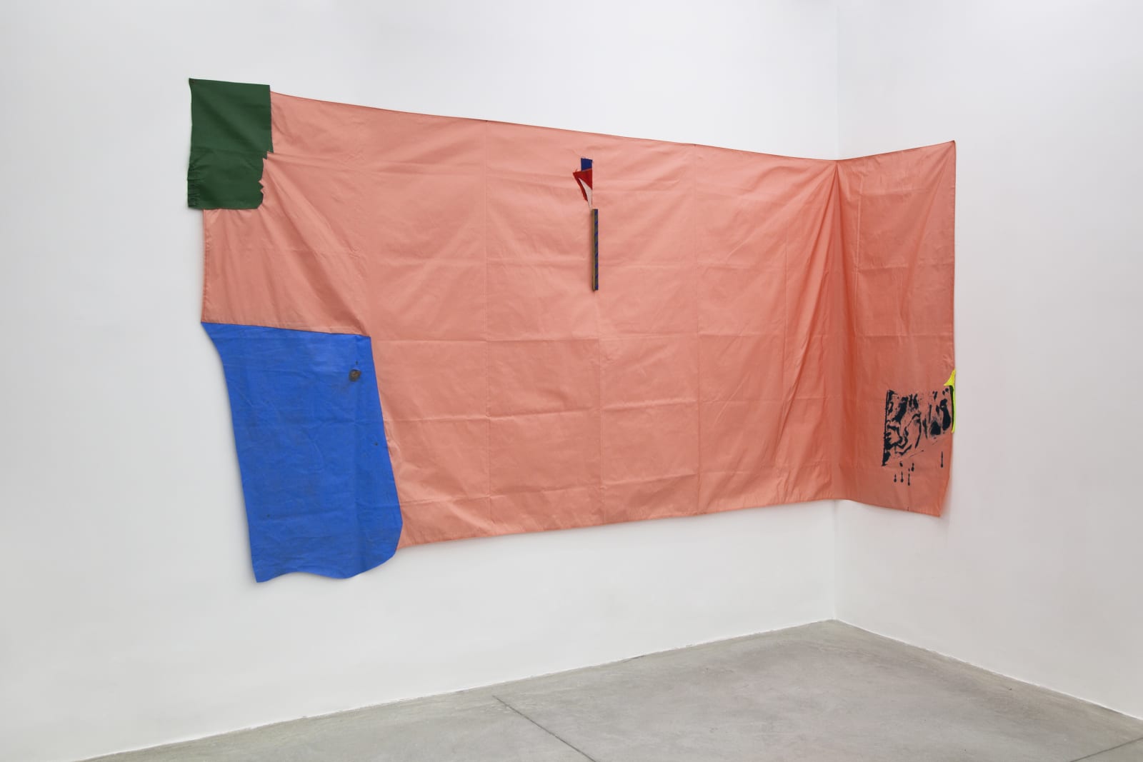 Tomás Cunha Ferreira, Onça pintada, 2019