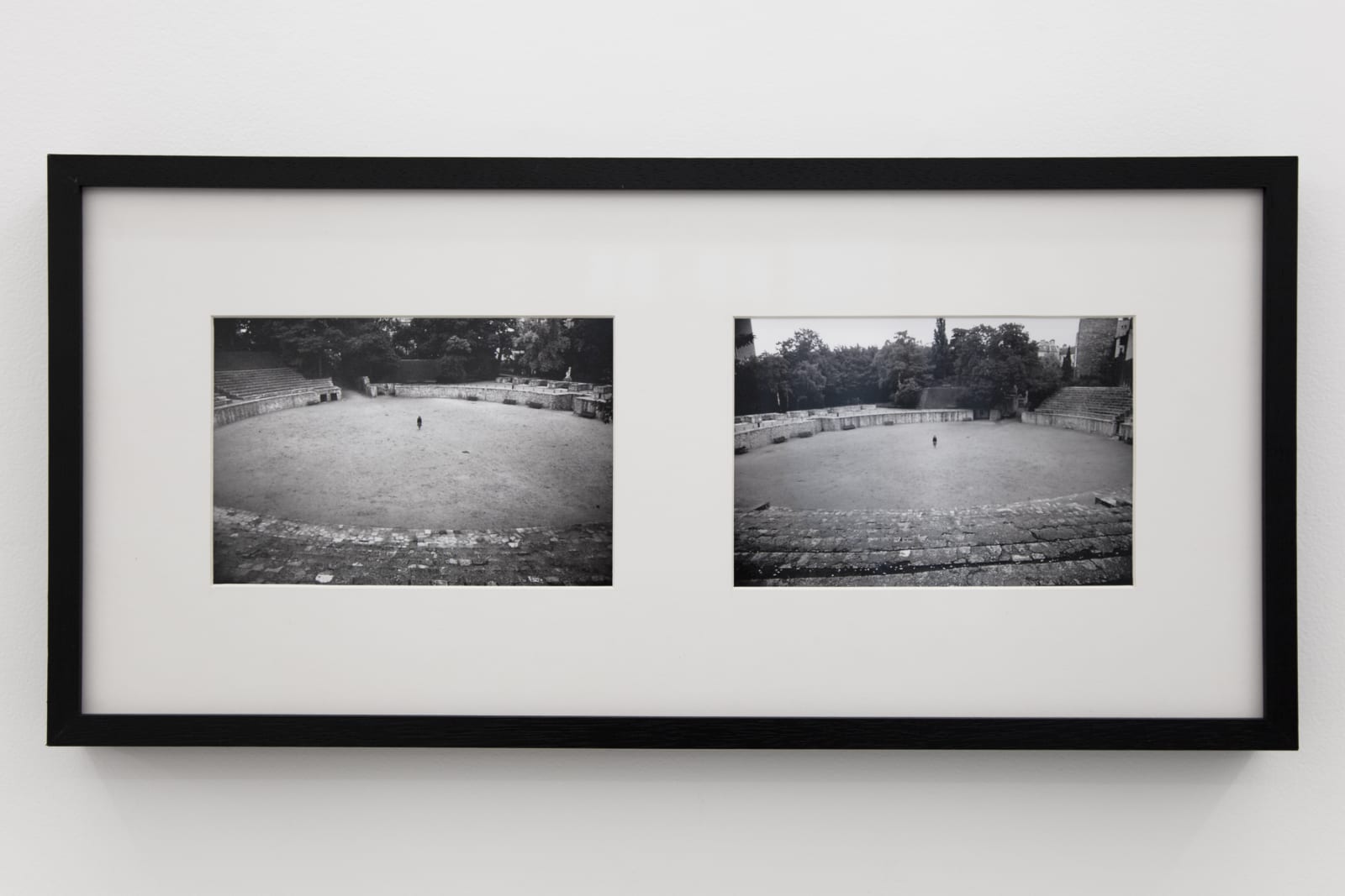 Sonia Andrade, A artista na arena, 1980-2019