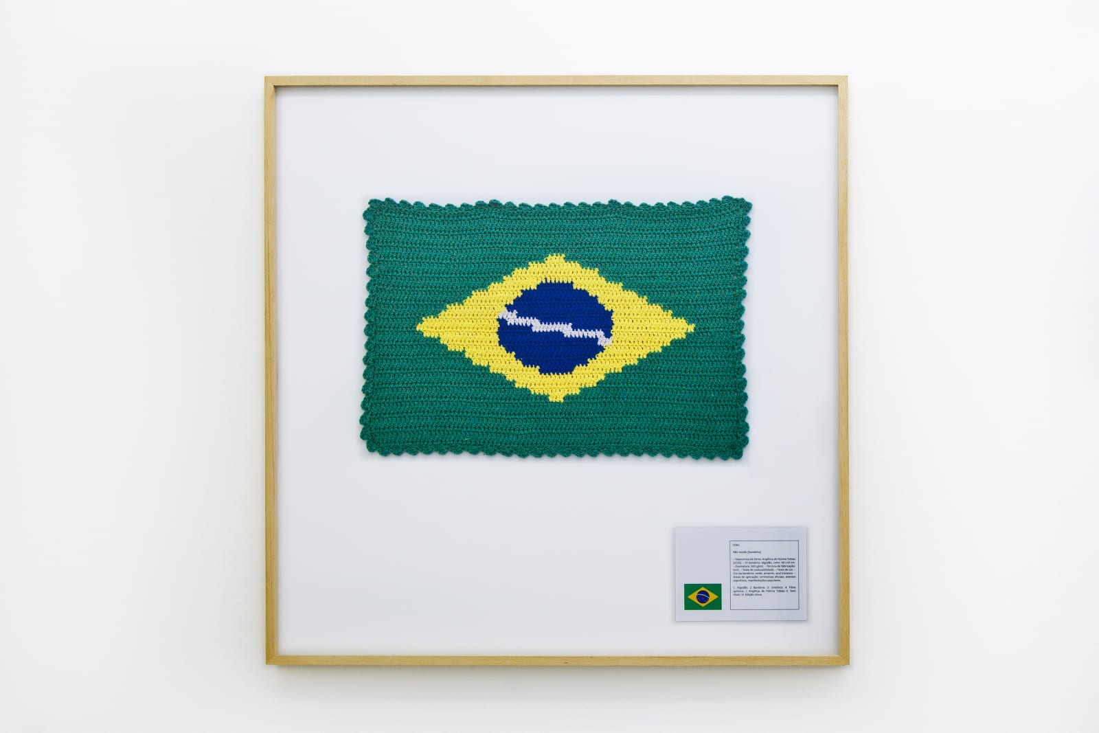 Jaime Lauriano, Bandeira Nacional #2 (National Flag #2), 2015