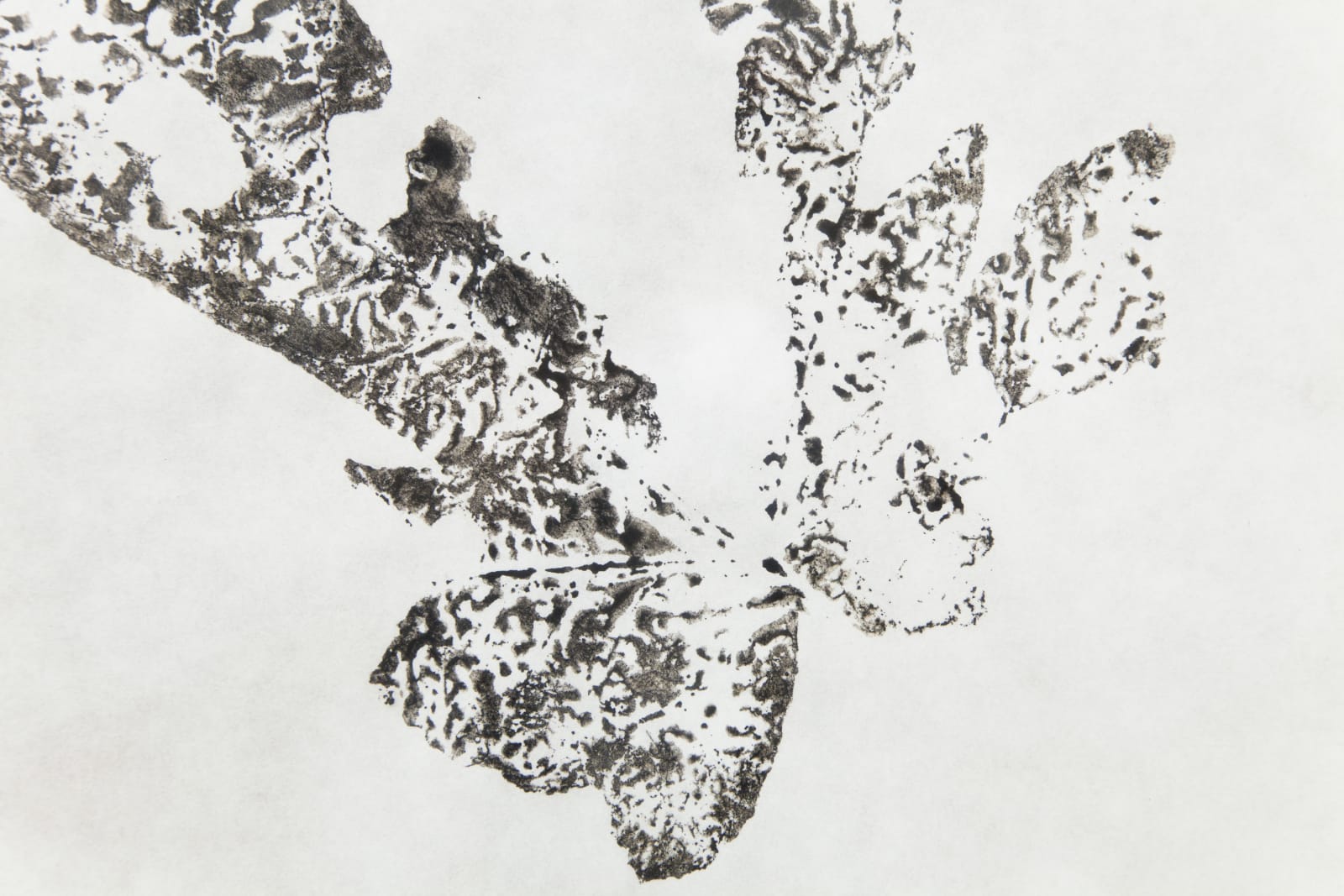 Laura Belém, Entreato I (Interact I), 2020