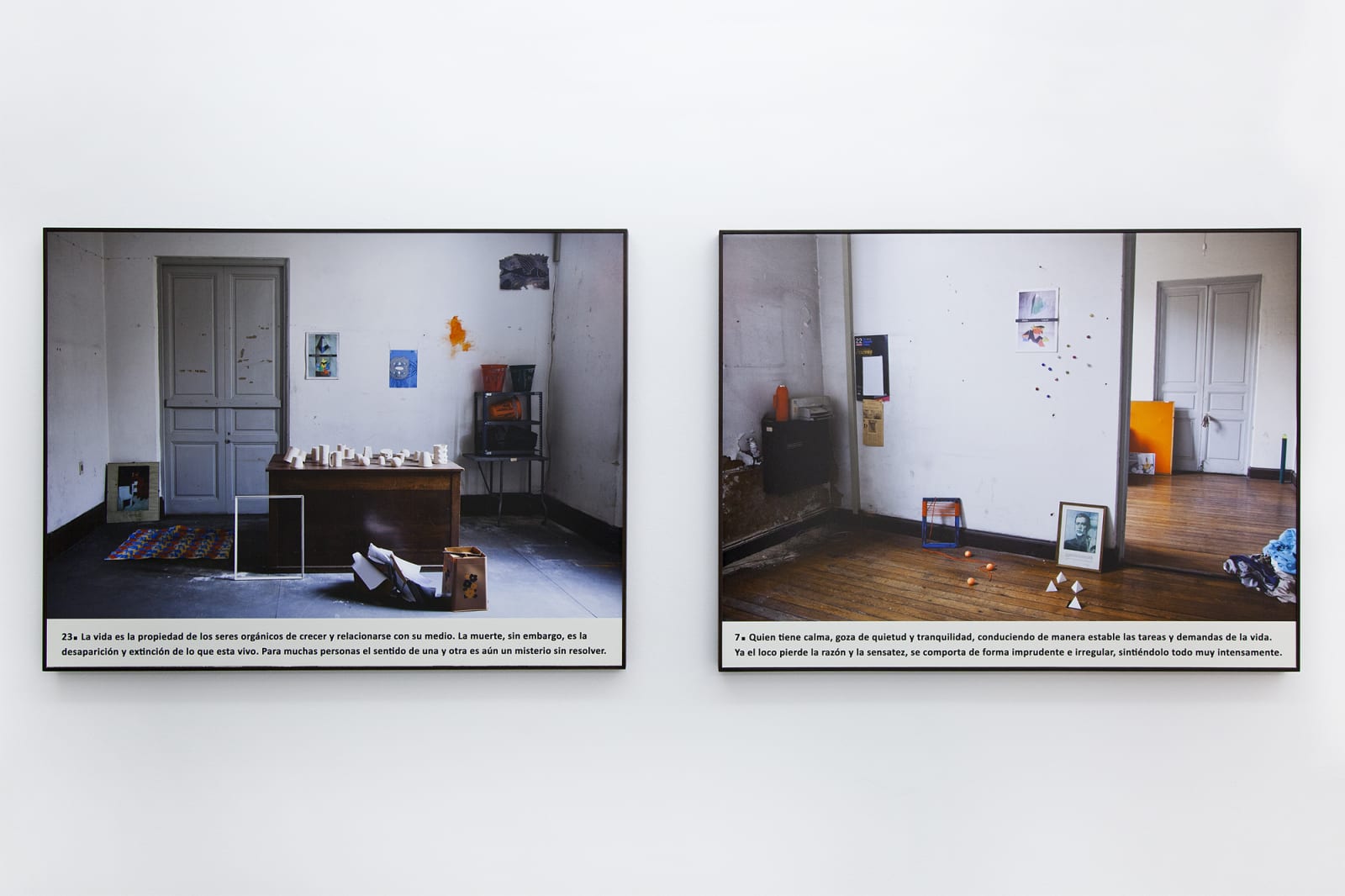 Sara Ramo, O ensino das coisas: morte, vida, calma, loucura (The teaching of things: death, life, calmness, madness)