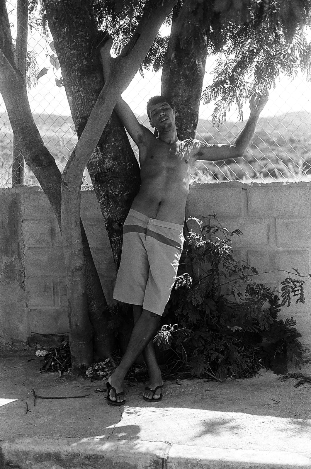 Desali, Homem semelhante #3, 2025