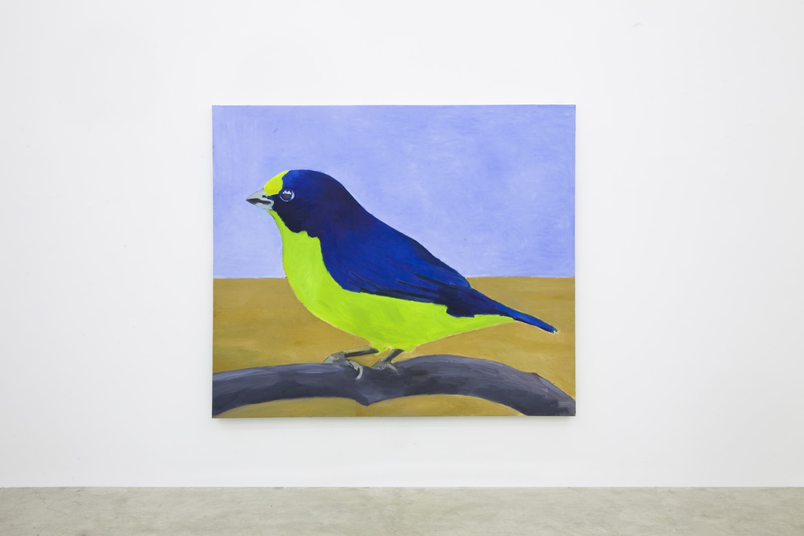 Rodrigo Bivar, Gaturamo, 2021