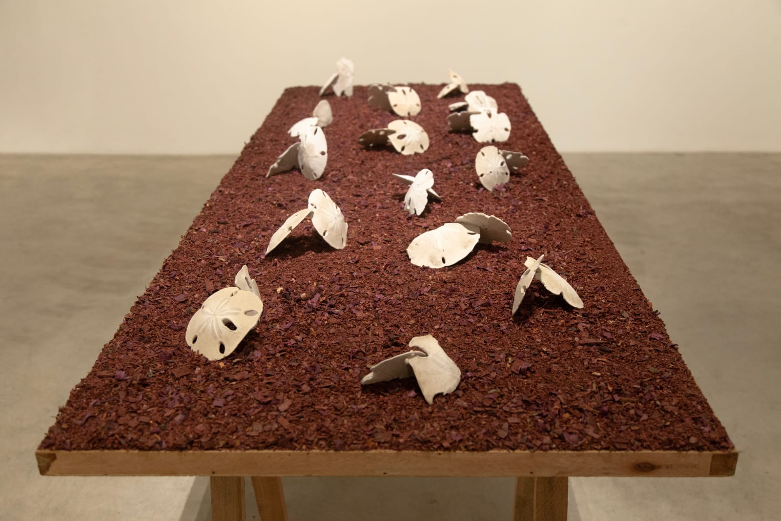 Laura Belém, Corpos sensíveis, 2023