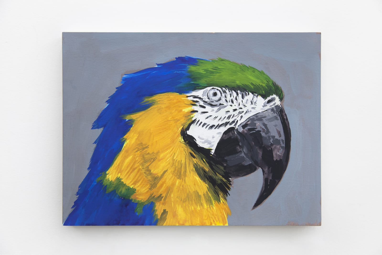 Rafael Alonso, Arara estéril , 2020