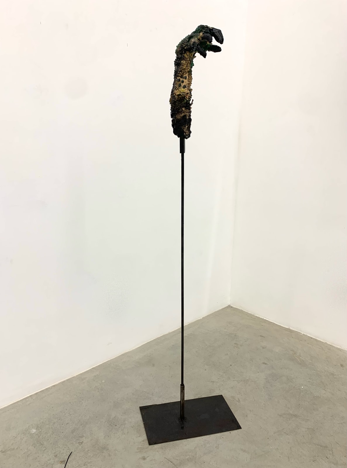 Darks Miranda, Eles vivem, 2022