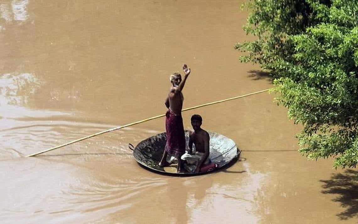 Frederico Filippi, Heraclito Inmigrante, 2018