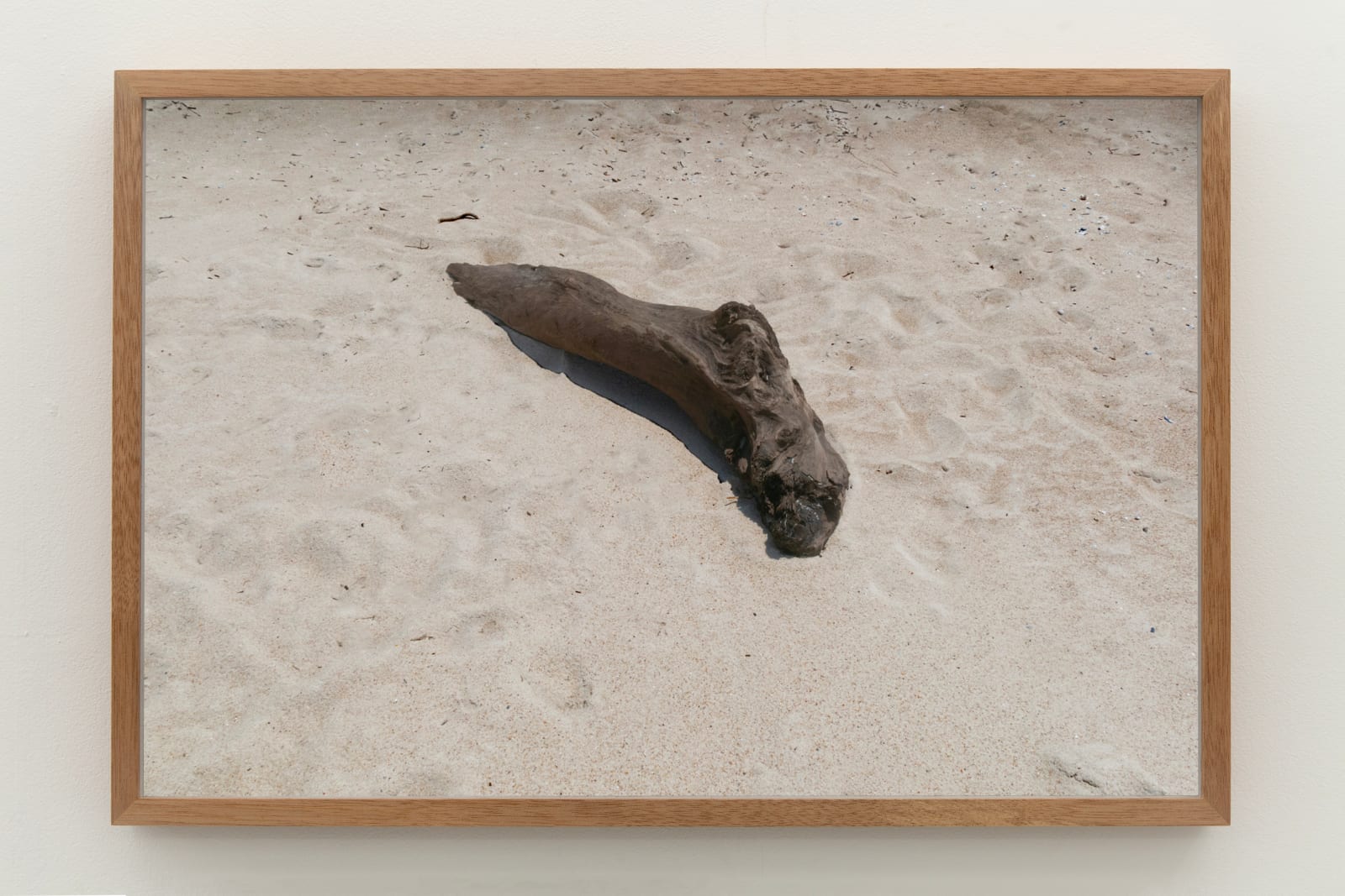 Laura Belém, Bicho, 2023