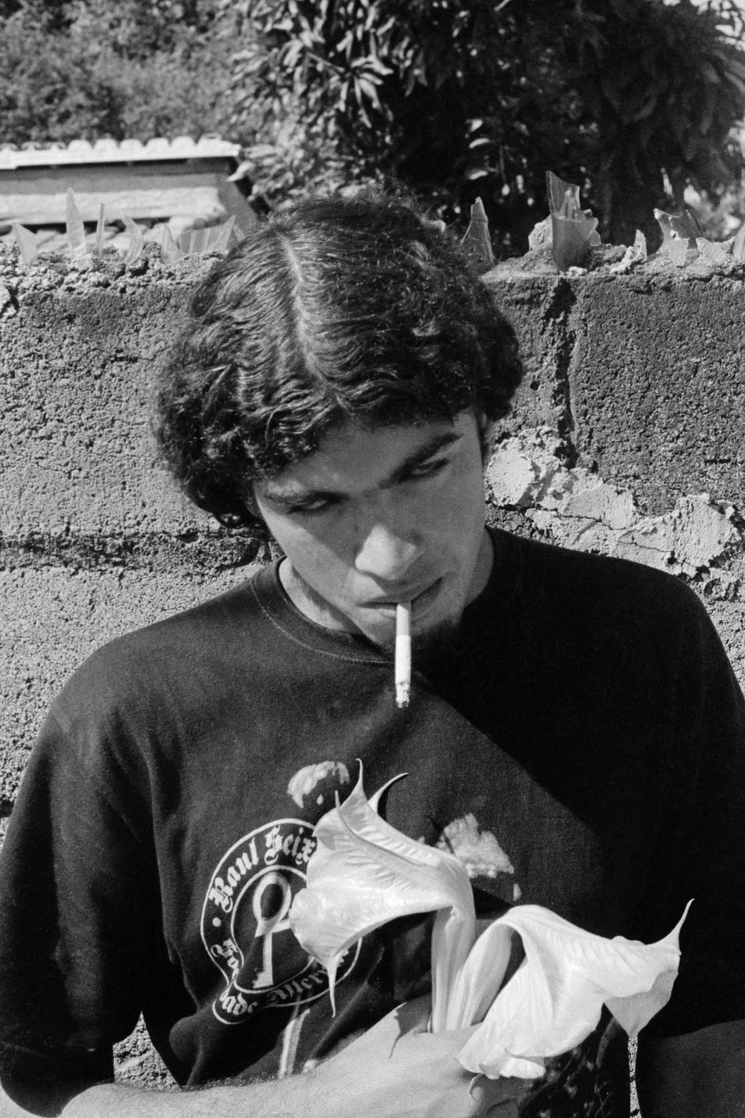 Desali, Homem semalhante #5, 2025