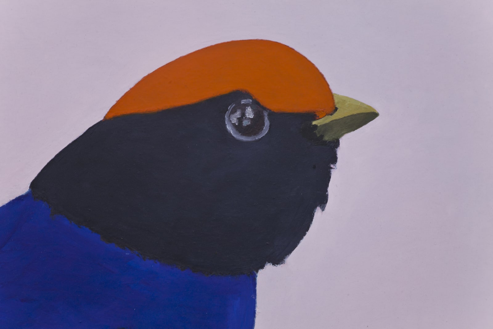 Rodrigo Bivar, Tangará, 2021