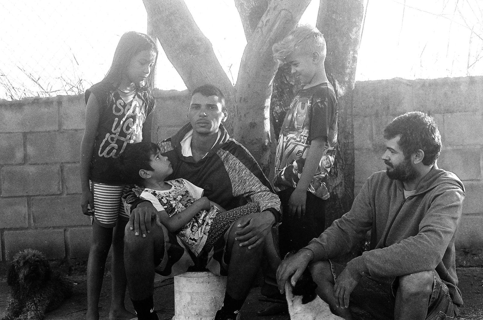 Desali, Homem semelhante #8, 2025