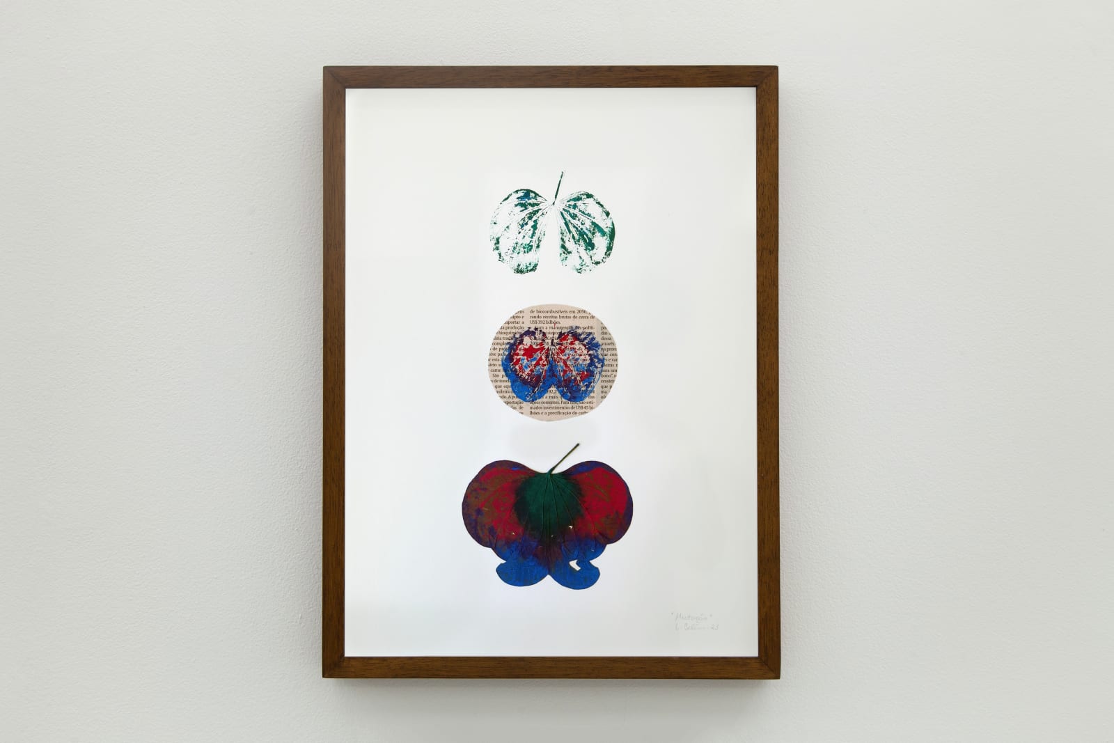 Laura Belém, Mutação, 2022-2023