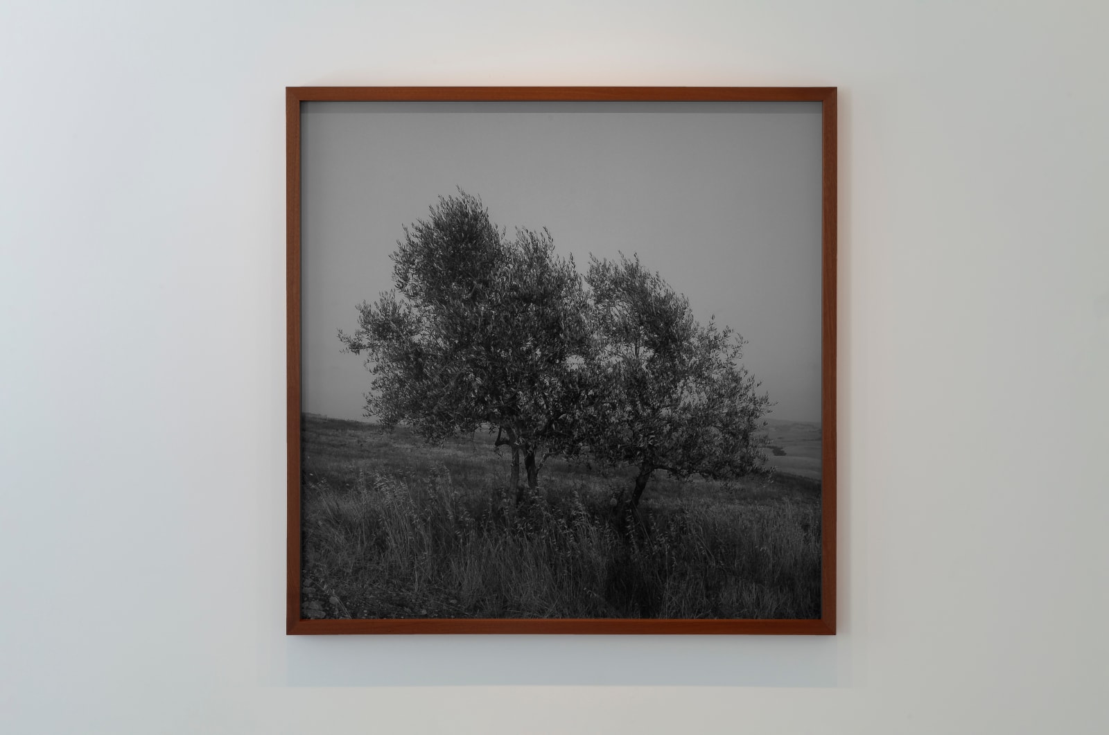 Eurico Lino do Vale, Volterra XII, 1997
