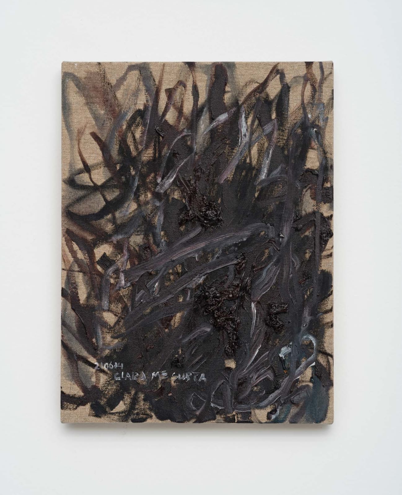 Panmela Castro, 210614 Clara me Surta, série Expurgo [210614 Clara Freaks me Out, from Purge serie], 2021