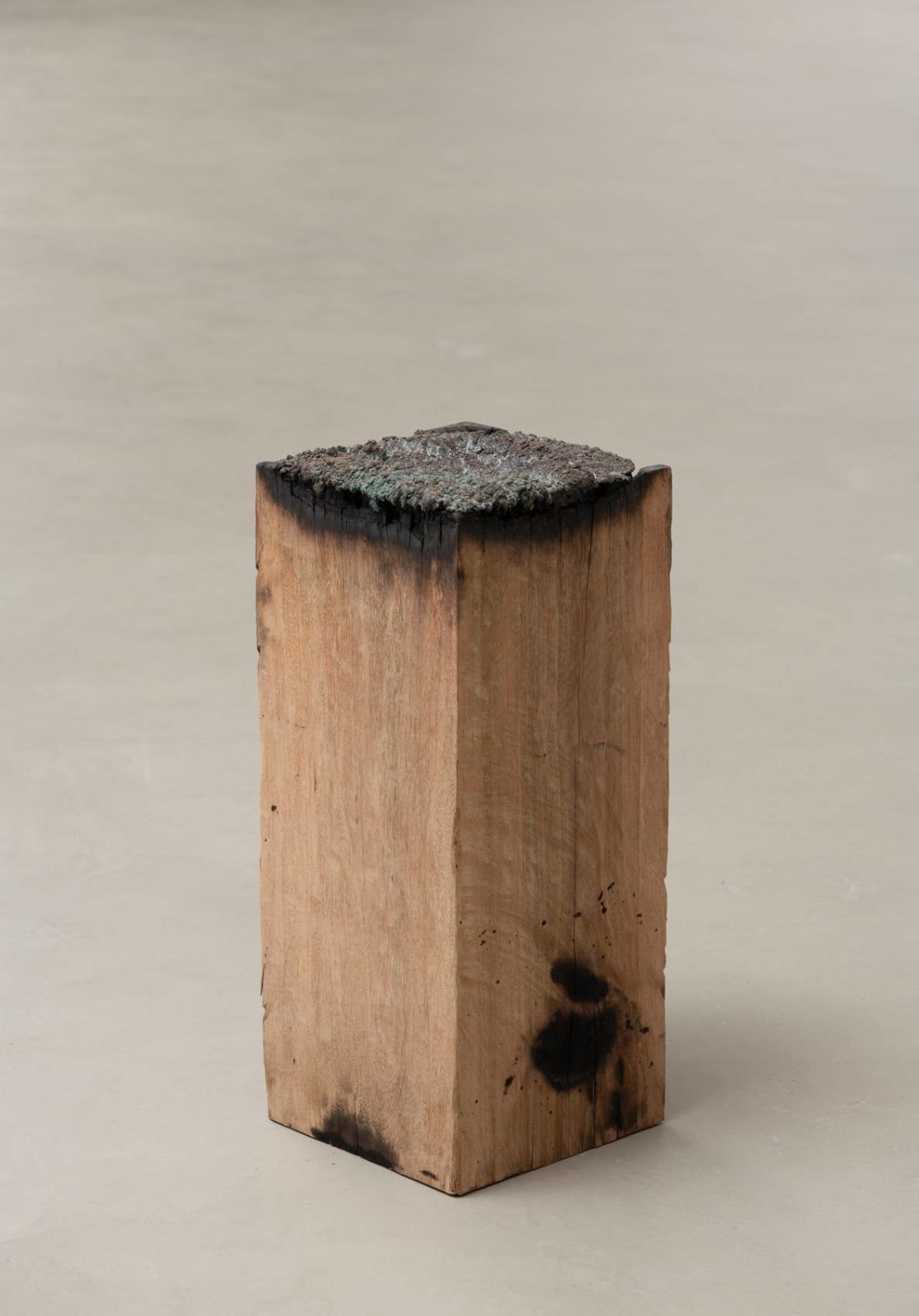 Marcius Galan, Fervor I, 2020