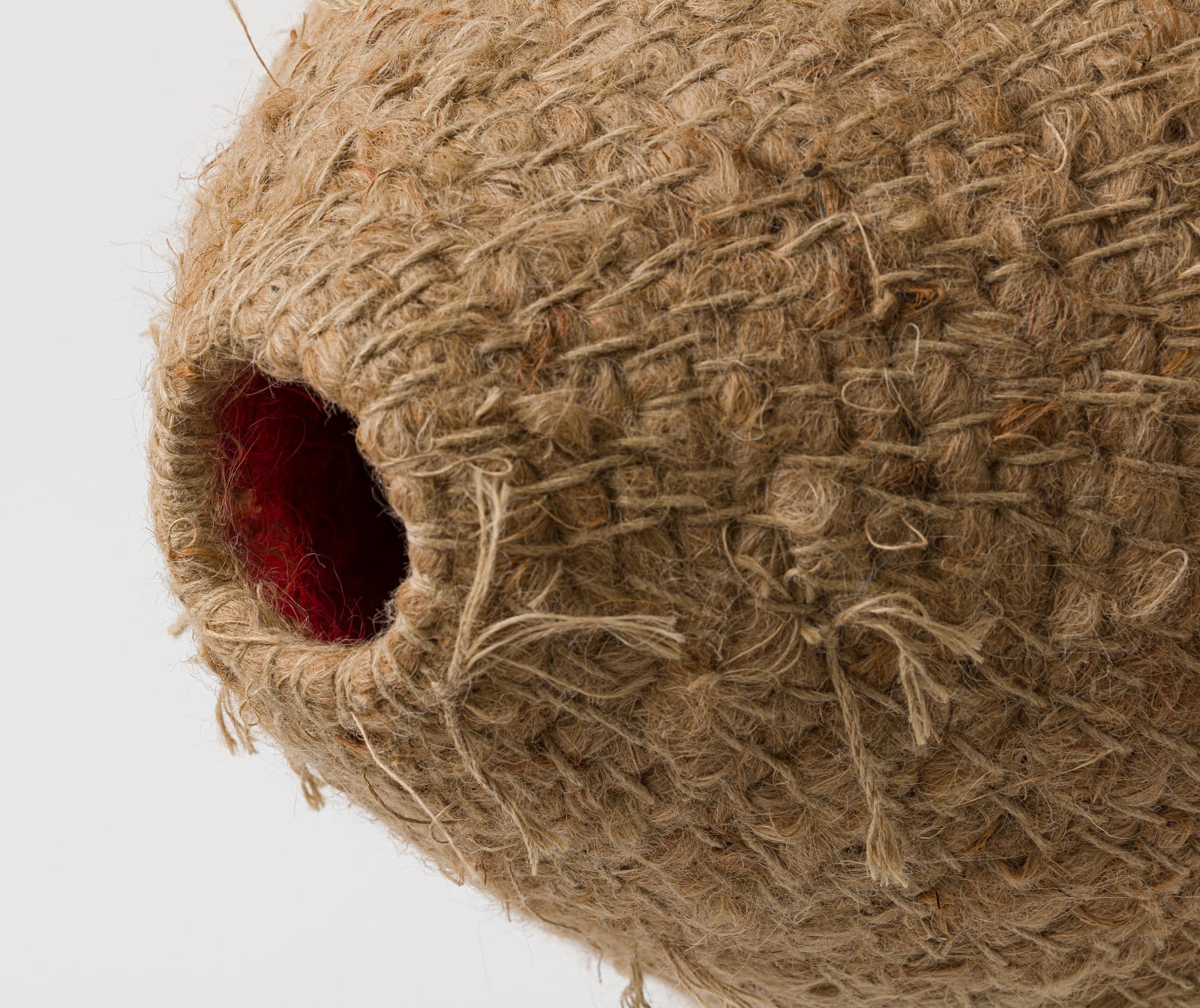 Dan Coopey, barney, 2023