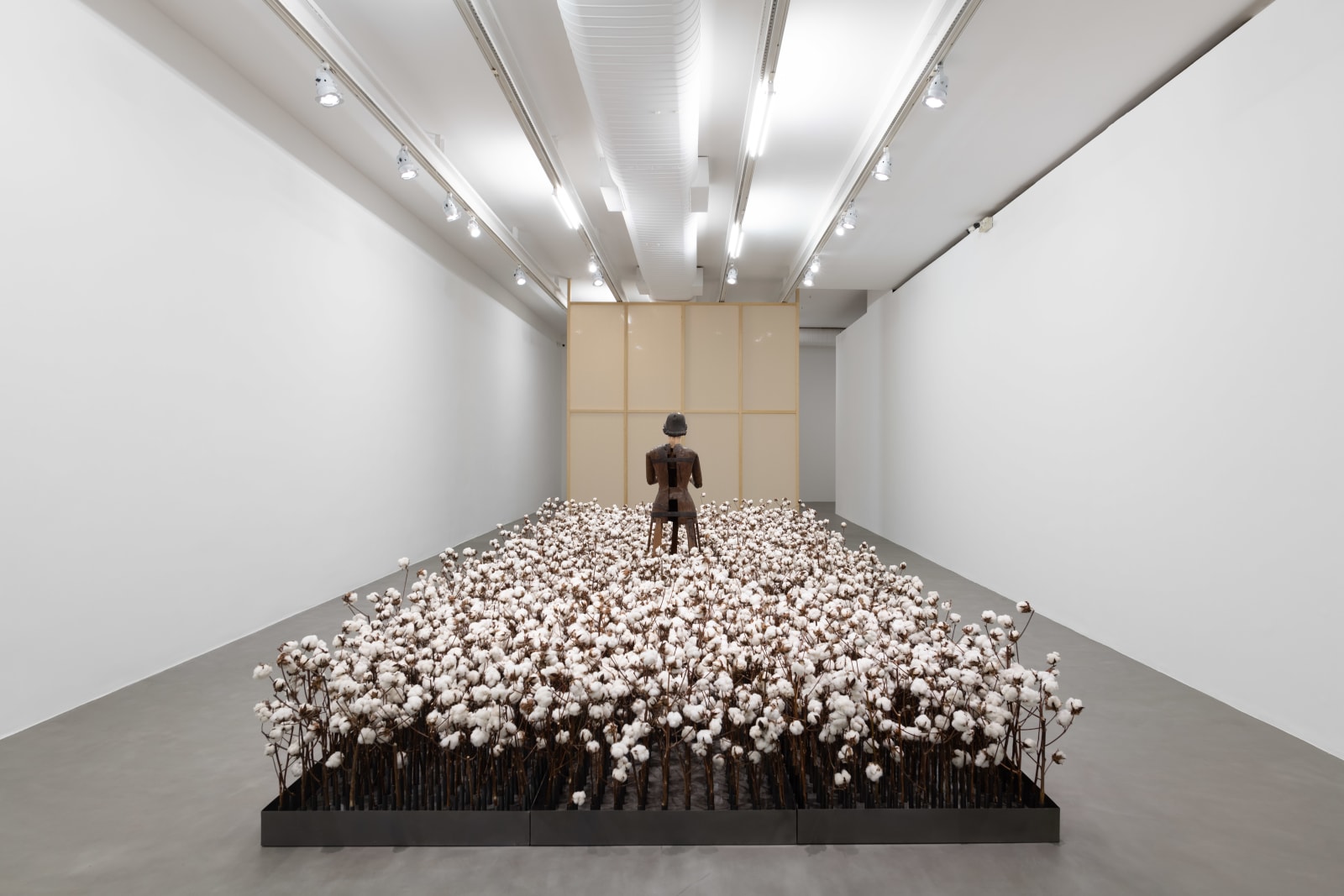 Thiago Honório, Texto [Text], 2020-2023