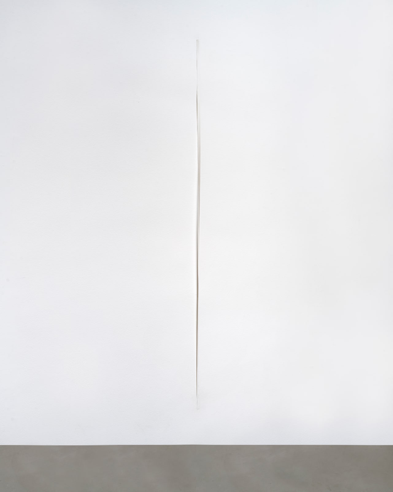 Fernanda Gomes, sem título [untitled], 2024