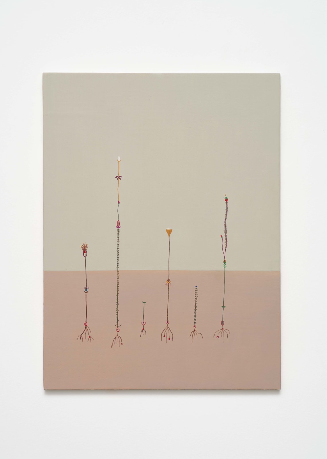 Brisa Noronha, Onze-horas [Eleven hours], 2025