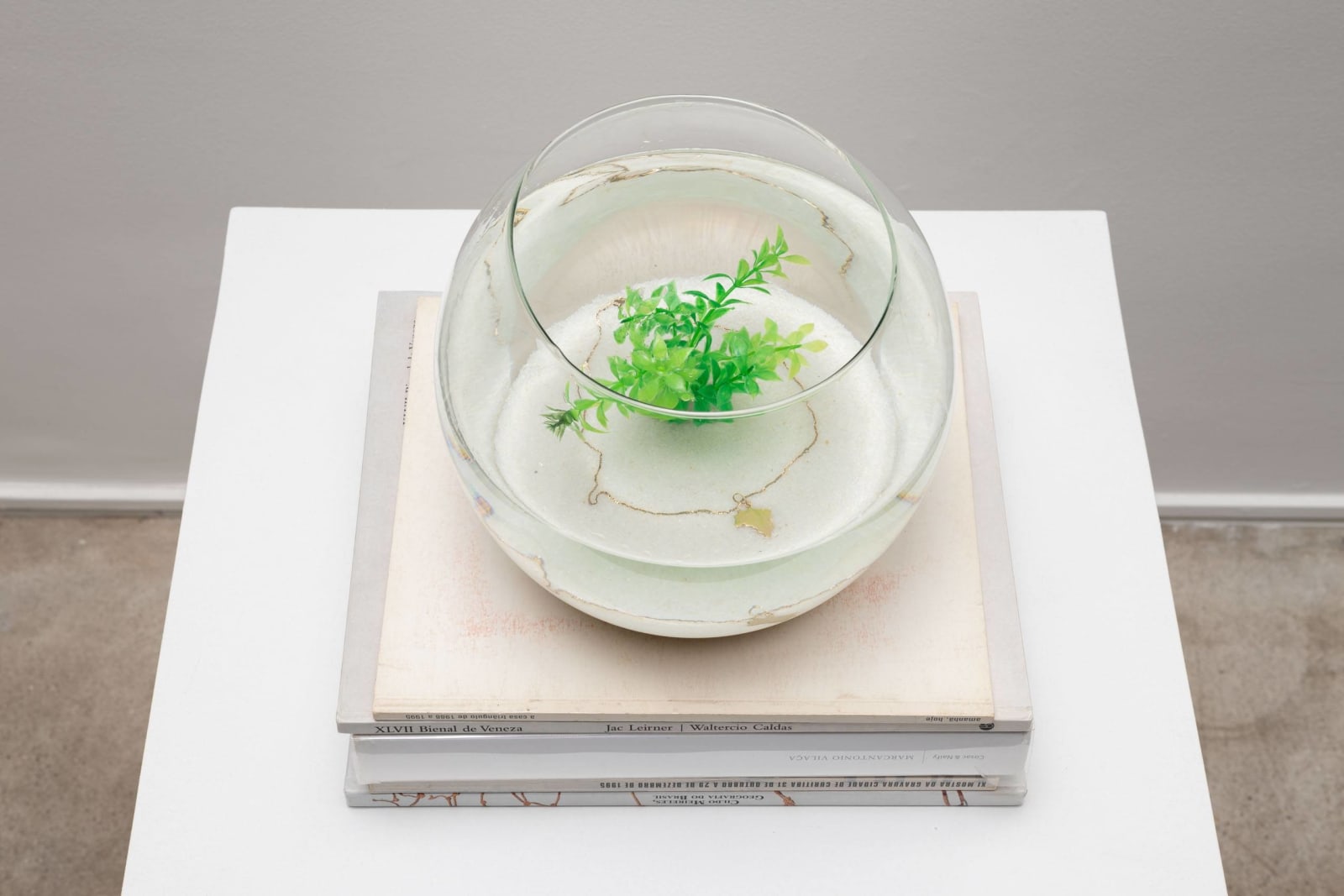 Tonico Lemos Auad, Watertank, 2002