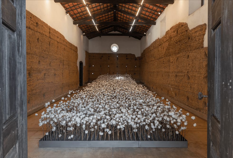 Thiago Honório, Texto (Capela do Morumbi), 2022 - 2023