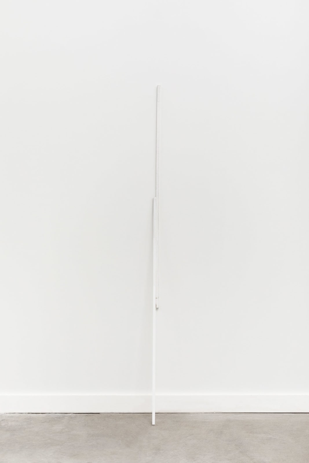 Fernanda Gomes, sem título [untitled], 2024