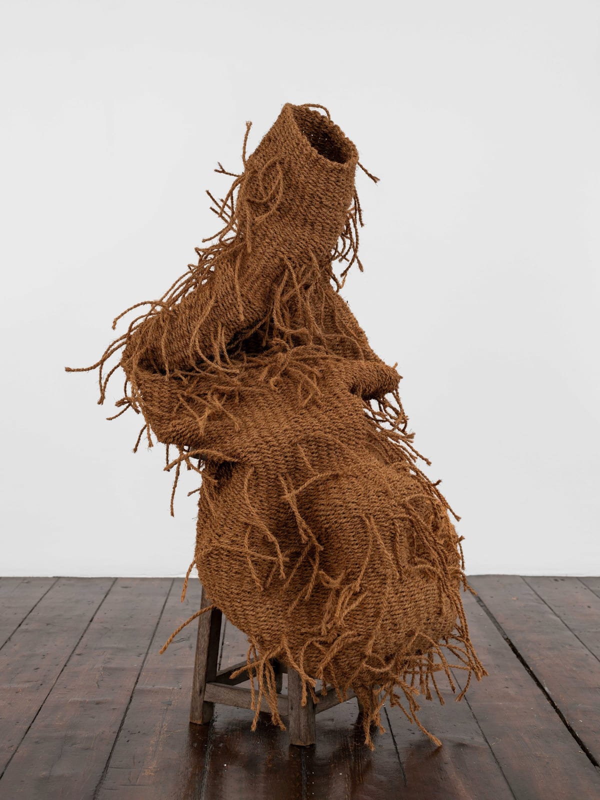 Dan Coopey, Beer Belly, 2024