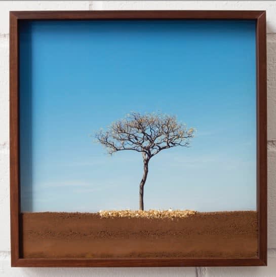 Pedro Motta, Espaço confinado (série), 2020