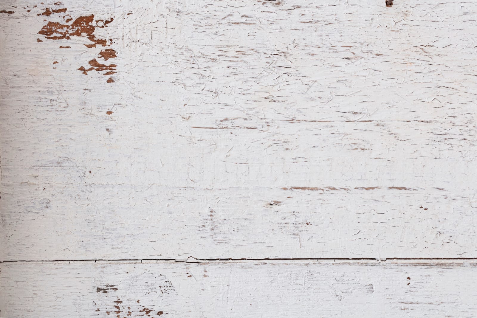 Fernanda Gomes, sem título [untitled], 2020