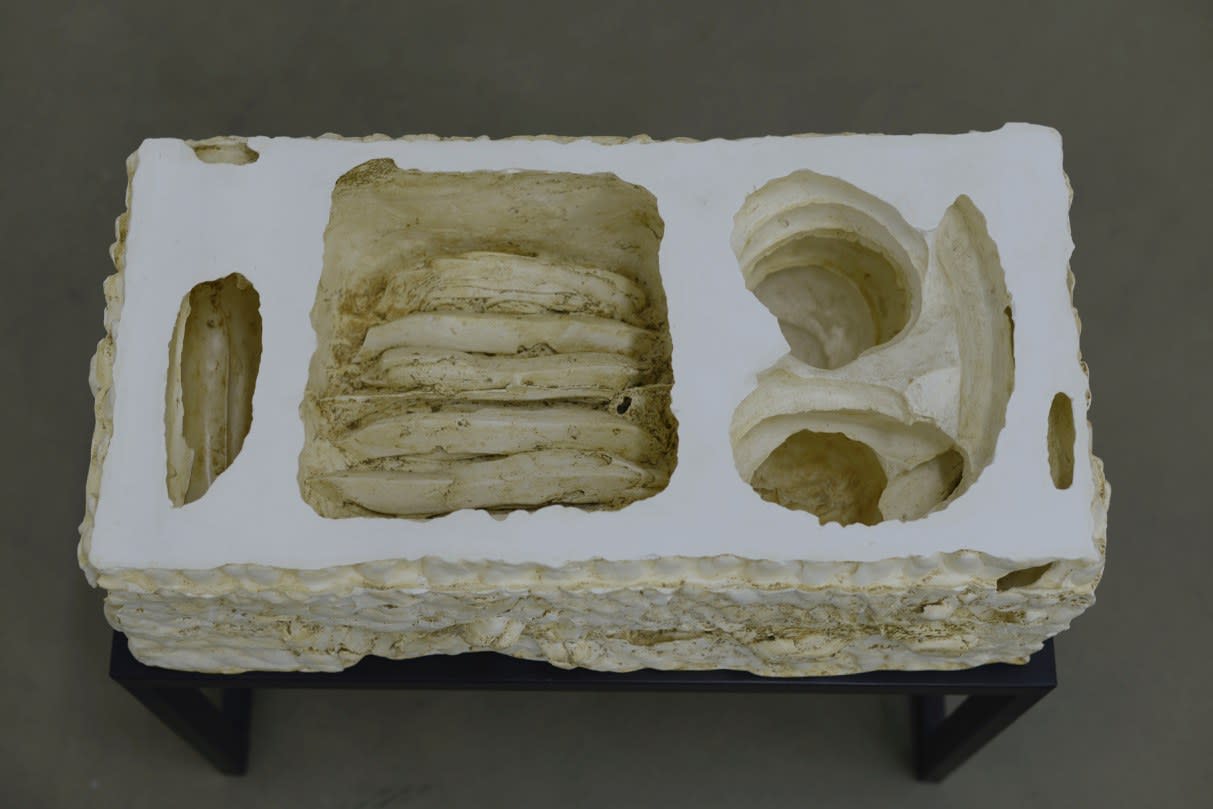 Anna Maria Maiolino, Sem título, da série Entre o Dentro e o Fora, 2012