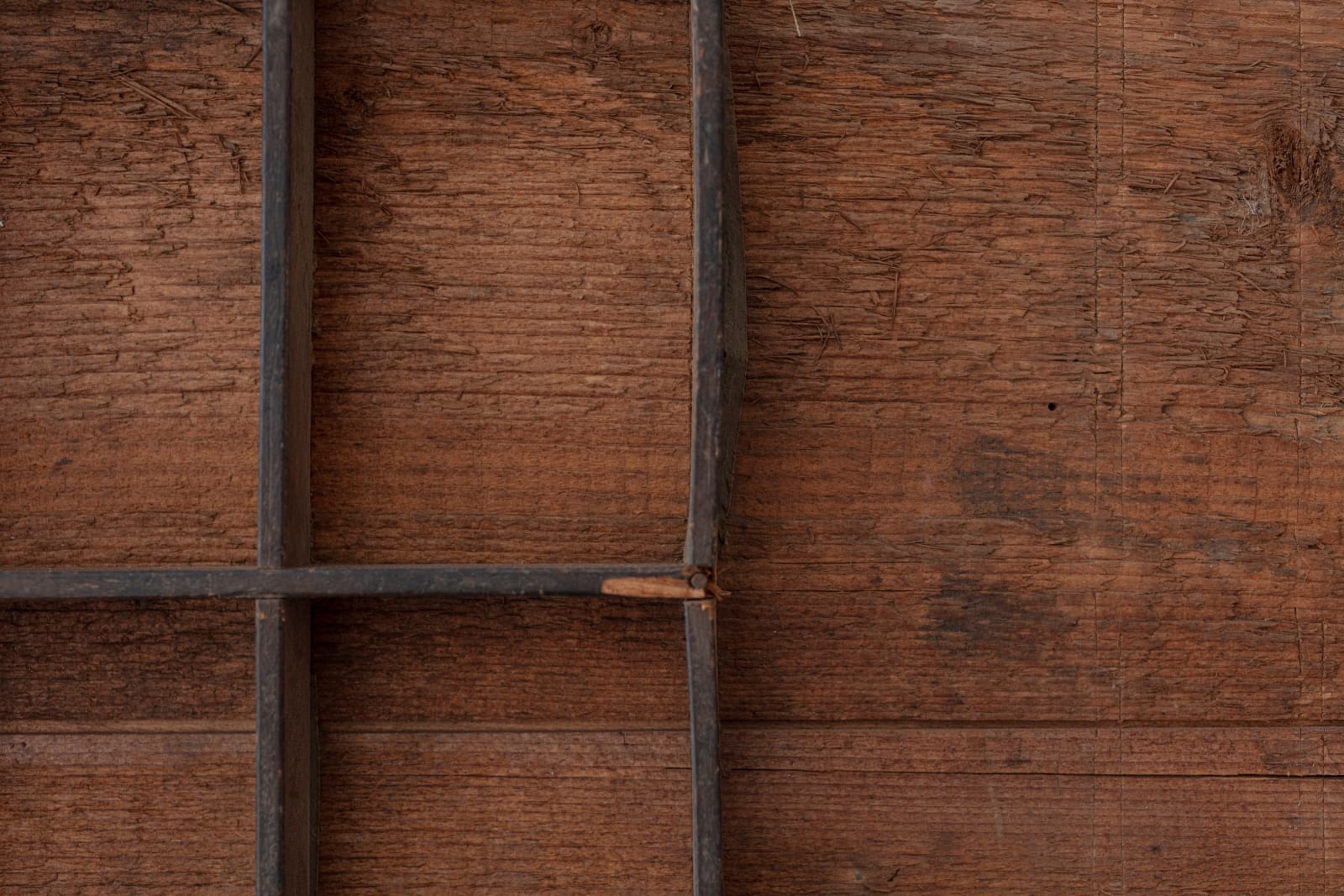 Fernanda Gomes, sem título [untitled], 2020