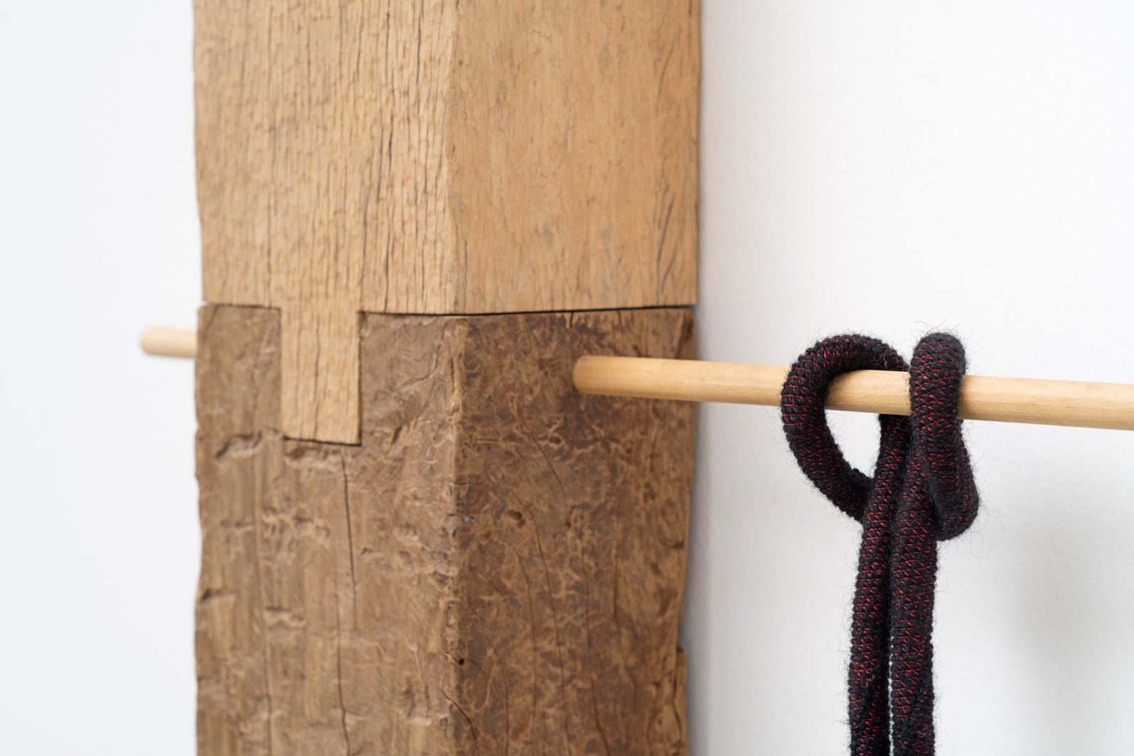 Tonico Lemos Auad, Cobra Preta, 2022